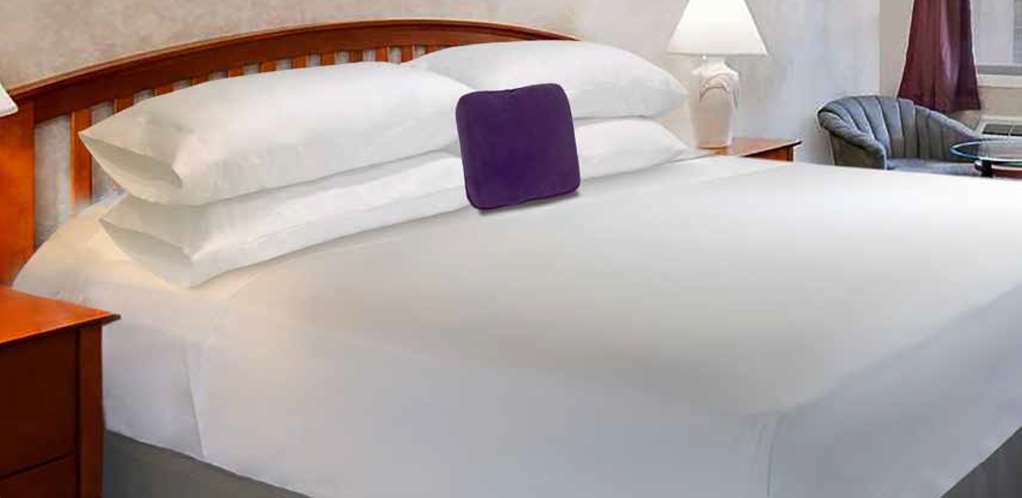 Kampus Inn Gainesville - University Area Hotel Номер фото
